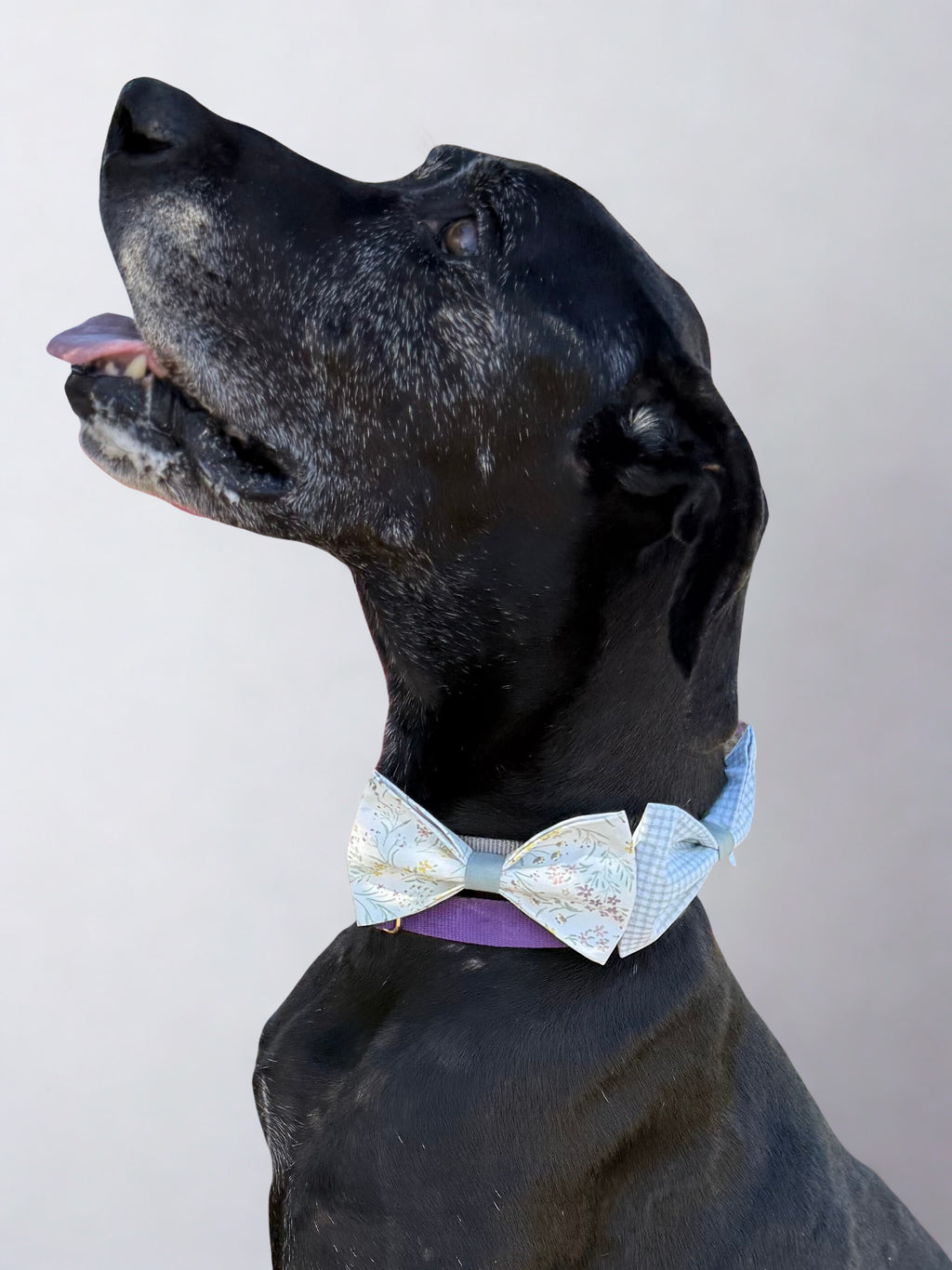Green Floral Dog Bow Tie