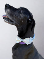 Green Floral Dog Bow Tie