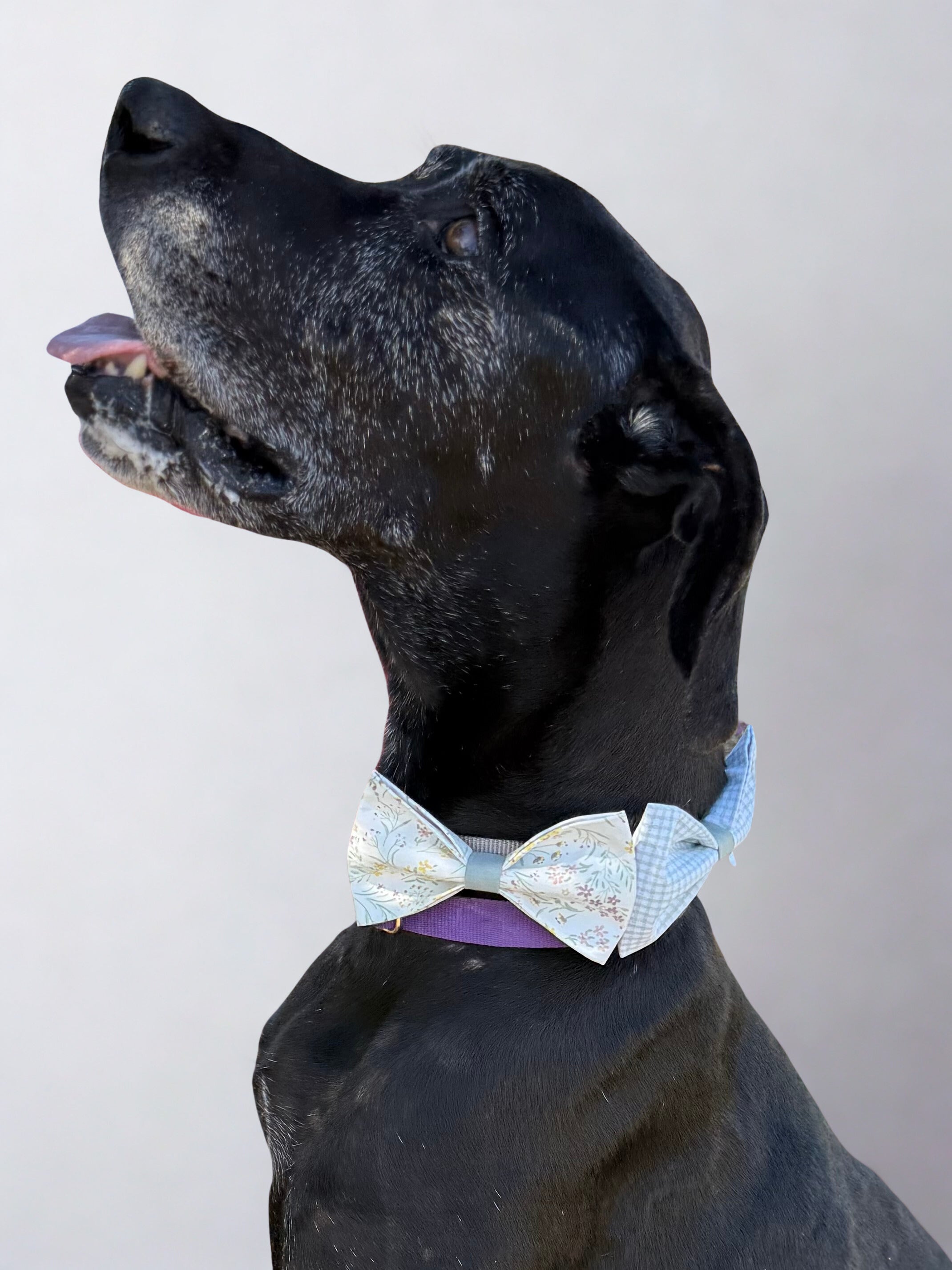 Green Floral Dog Bow Tie