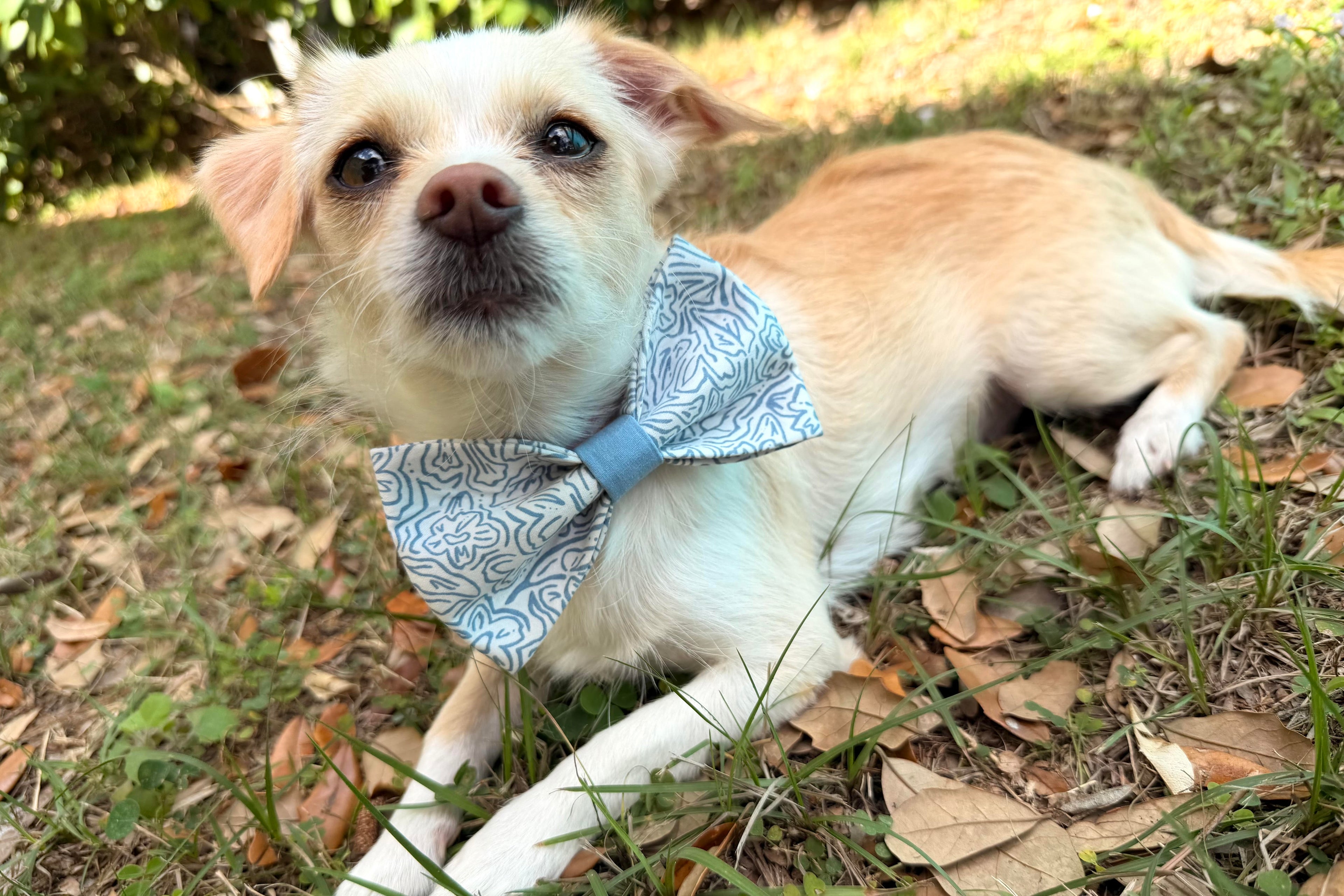 Blue Doodle Floral Dog Bow Tie