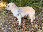 Muted Meadow Dog Bloom