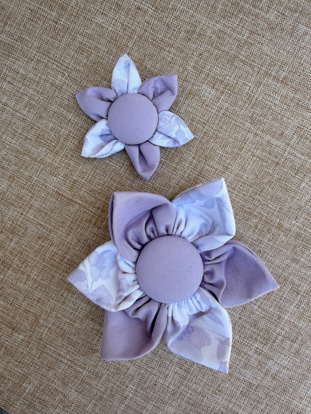 Purple Floral Dog Bloom