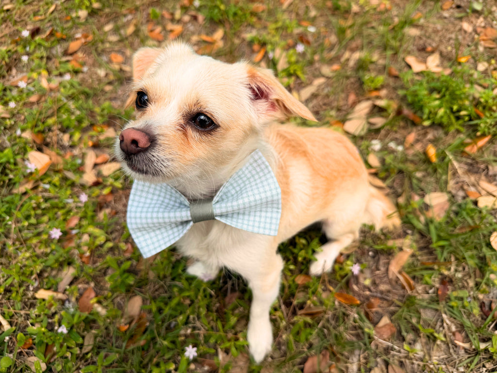 Green Gingham Dog Bow Tie