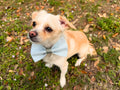 Green Gingham Dog Bow Tie