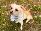 Green Gingham Dog Bow Tie